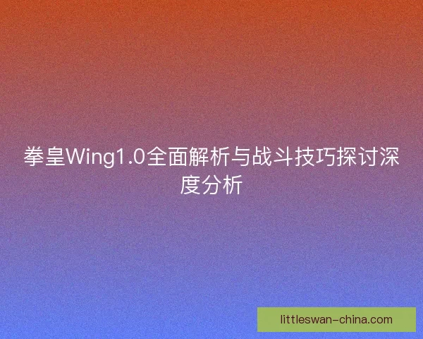 拳皇Wing1.0全面解析与战斗技巧探讨深度分析