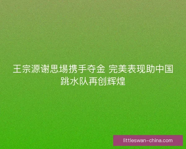 王宗源谢思埸携手夺金 完美表现助中国跳水队再创辉煌