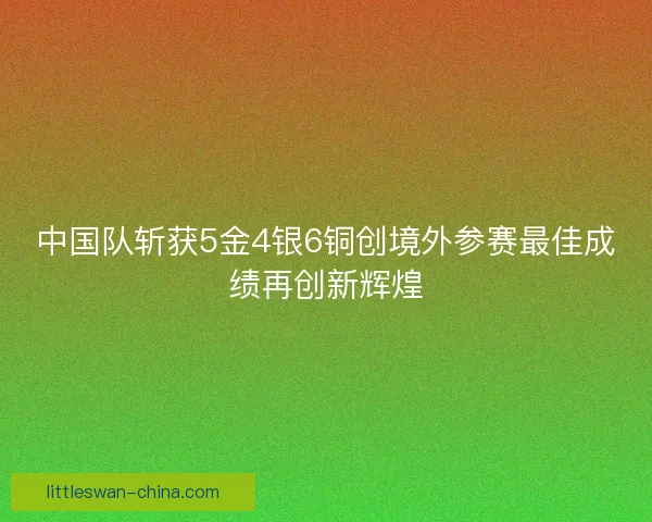 中国队斩获5金4银6铜创境外参赛最佳成绩再创新辉煌