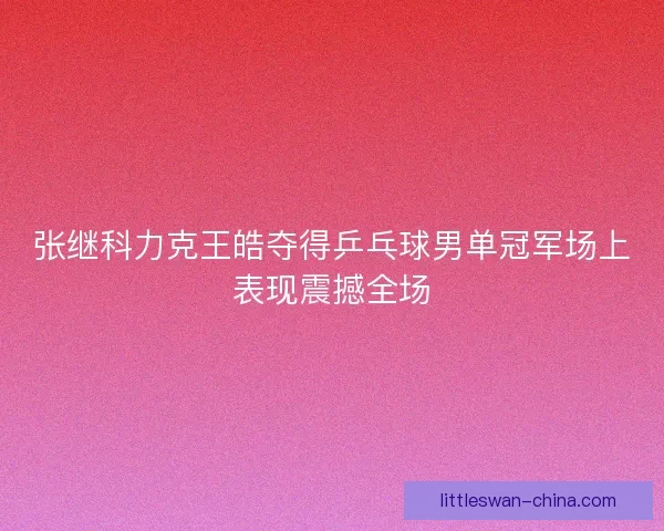 张继科力克王皓夺得乒乓球男单冠军场上表现震撼全场