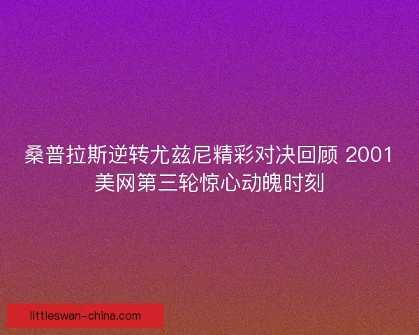 桑普拉斯逆转尤兹尼精彩对决回顾 2001美网第三轮惊心动魄时刻