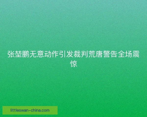 张堃鹏无意动作引发裁判荒唐警告全场震惊